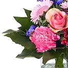 Amsterdam-Zuidoost flowers  -  Radiant Red Flower Bouquet/Arrangement