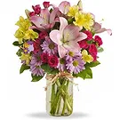 Italy flowers  -  Flowers to send for birthday Flower Bouquet/Arrangement