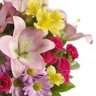 Italy flowers  -  Flowers to send for birthday Flower Bouquet/Arrangement