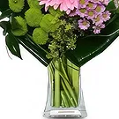 Ibiza flowers  -  Gerbera Dance Bouquet Flower Bouquet/Arrangement