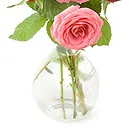 Italy flowers  -  Bouquet of pink and red roses Flower Bouquet/Arrangement