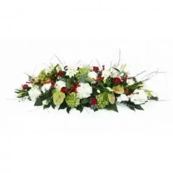 Στρασβούργο λουλούδια- Κόκκινο & Λευκό Οδυσσέας Casket Top Λουλούδι Παράδοση