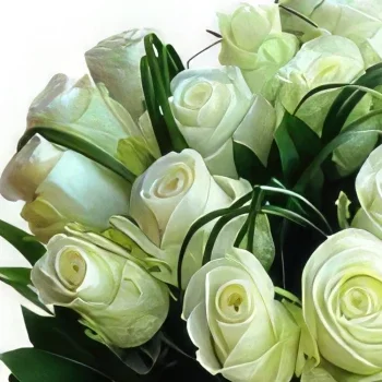 flores de Casablanca- Devoção Bouquet/arranjo de flor