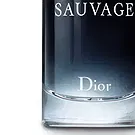 두바이 인터넷 도시 꽃- 디올 소바쥬 EDT 100ml(M) 꽃다발/꽃꽂이