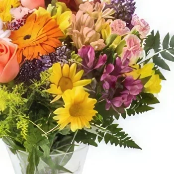 Belem bunga- Susunan Sedang Bunga Ladang Pot Warna-warni Rangkaian bunga karangan bunga