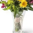 Santa Maria flowers  -  Medium Arrangement of Colorful Potted Field F Flower Bouquet/Arrangement