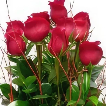 מדריד פרחים- חנות רומנטית זר פרחים/סידור פרחים