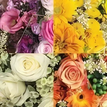 flores de Roterdã- Draceane Delight| ||8208 Bouquet/arranjo de flor