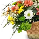 Cala Llonga flowers  -  Whimsical Daisy Assortment Flower Bouquet/Arrangement