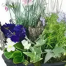 fiorista fiori di Laval- Disposizione delle piante Dulcis viola e blu Bouquet floreale