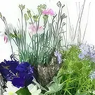 fiorista fiori di Laval- Disposizione delle piante Dulcis viola e blu Bouquet floreale