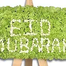 Ajman flowers  -  Soft Green  Flower Bouquet/Arrangement