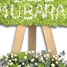 Ajman flowers  -  Soft Green  Flower Bouquet/Arrangement