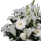Cala Llonga flowers  -  Whispers Of Comfort Flower Bouquet/Arrangement