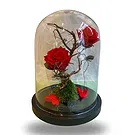 Ghent kukat- Bell Jar Kukka kukkakimppu