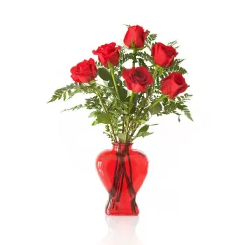 Bologna cvijeća- Buket Od 6 Crvenih Ruža