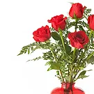 Italy flowers  -  Bouquet of 6 Red Roses Flower Bouquet/Arrangement
