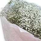 Al Shamkha flowers  -  Elegant Bouquet with Gypso  Flower Bouquet/Arrangement