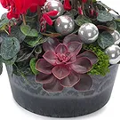 Vignone flowers  -  Christmas bowl of red cyclamen Flower Bouquet/Arrangement