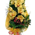Portugal flowers  -  Yellow Splendor Flower Bouquet/Arrangement