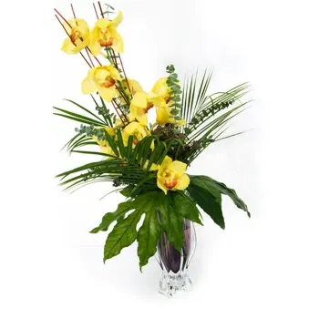 fiorista fiori di Sicilia- Ramo Di Orchidea Cymbidium