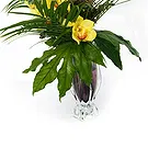 fiorista fiori di Firenze- Ramo di orchidea Cymbidium Bouquet floreale