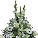 Cala Llonga flowers  -  Graceful Blooms Farewell Hub Flower Bouquet/Arrangement