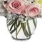 Sitrah blommor- Underbar Bukett/blomsterarrangemang