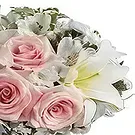 Sitrah blommor- Underbar Bukett/blomsterarrangemang