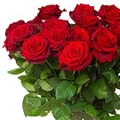 Oman flowers  -  12 Red Roses Flower Bouquet/Arrangement