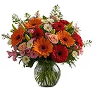 San Andros flowers  -  Natures Elegance Flower Bouquet/Arrangement
