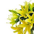 Italië bloemen bloemist- Boeket gele lelies Boeket/bloemstuk