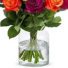 Amsterdam flowers  -  Mixed roses (40cm) Flower Bouquet/Arrangement