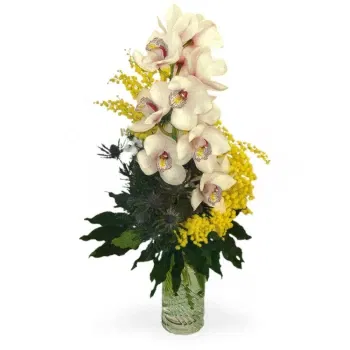 Νεάπολη λουλούδια- Κλαδί ορχιδέας με μιμόζα