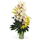 Vignone flowers  -  Orchid Branch with Mimosa Flower Bouquet/Arrangement