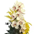Vignone flowers  -  Orchid Branch with Mimosa Flower Bouquet/Arrangement