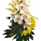Vignone flowers  -  Orchid Branch with Mimosa Flower Bouquet/Arrangement