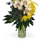 Vignone flowers  -  Orchid Branch with Mimosa Flower Bouquet/Arrangement