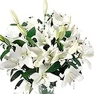 Nea Pavliani flowers  -  WHITE BEAUTY Flower Bouquet/Arrangement