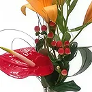 Javea flowers  -  Vivid Fusion Flower Bouquet/Arrangement