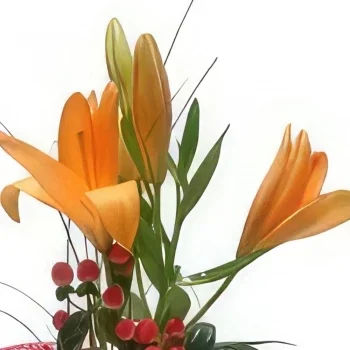 מדריד פרחים- Vivid Fusion זר פרחים/סידור פרחים