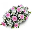 Molins flowers  -  Graceful Arrangements Flower Bouquet/Arrangement