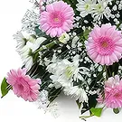 Molins flowers  -  Graceful Arrangements Flower Bouquet/Arrangement