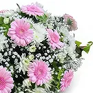 Molins flowers  -  Graceful Arrangements Flower Bouquet/Arrangement