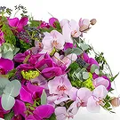 Zande blommor- Elegant rosa Biedermeier-hyllning Bukett/blomsterarrangemang