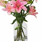 Amsterdam-Zuidoost flowers  -  Sunrise Flower Bouquet/Arrangement