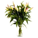 Dänemark Blumen Florist- Wunderschönes Geschenk Bouquet/Blumenschmuck