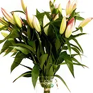 Dänemark Blumen Florist- Wunderschönes Geschenk Bouquet/Blumenschmuck