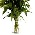 Dänemark Blumen Florist- Wunderschönes Geschenk Bouquet/Blumenschmuck