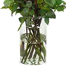 Colijnsplaat Blumen Florist- 15 rote Rosen | Erzeuger Bouquet/Blumenschmuck